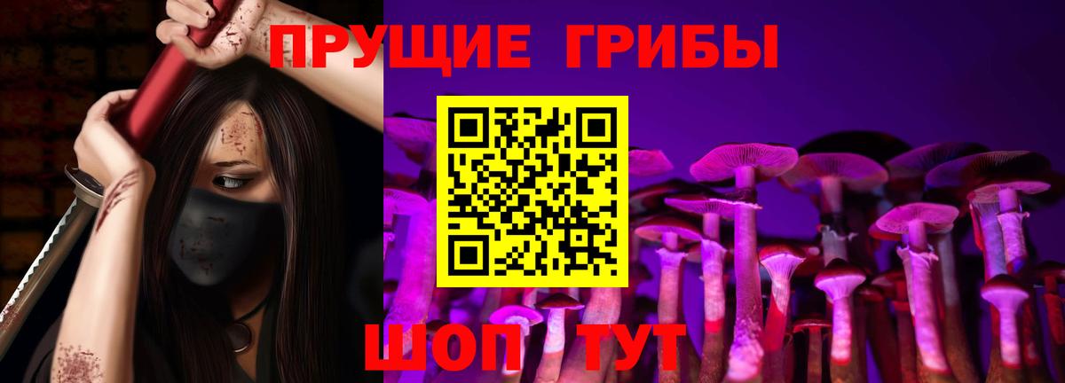 Псилоцибиновые грибы Cubensis Брянск