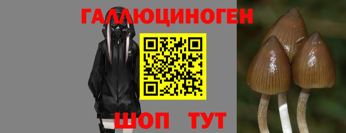 Псилоцибиновые грибы прущие грибы  Вход с VPN  Брянск 